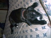 Our ziggy