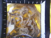 Does anybody know what animal we are looking at here. I would dearly love to know. It is very,ve...