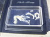 Does anybody know what animal we are looking at here. I would dearly love to know. It is very,ve...