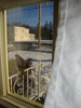 front porch visitor