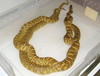 high-yellow Brooks kings breeding