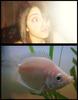 People look like animals!