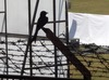 What is this bird photographed in Bangladesh?