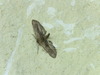 I really want to know what this is.