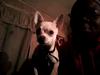 MY BABY DIAMOND PRECIOUS JENKINS