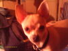 MY BABY DIAMOND PRECIOUS JENKINS