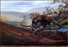 Panthera 0018 David J. Lawrence Sentinel