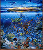 Panthera 0021 Robert Lyn Nelson Molokini Twilight