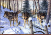 Panthera 0035 Robert J. Schmidt Shadow Ridge
