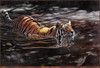 Panthera 0048 Matthew Hillier Jungle Crossing