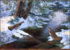 Panthera 0049 Sam Timm Chance Encounter