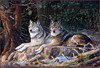 Panthera 0050 Terry Doughty Leaders of the Pack