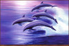 Panthera 0052 Robert Wyland Ocean Travelers
