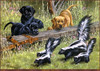 Panthera 0053 Roger Cruwys Puppy Le Pu