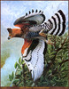 Panthera 0064 John A  Ruthven African Crowned Eagle