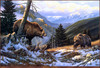 Panthera 0075 Darrell Davis Face to Face