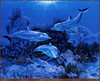 Panthera 0083 Belinda Leigh Family Love
