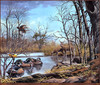 Panthera 0089 Harold Roe A New Day