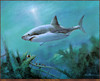 Panthera 0090 Ruane Manning Great White