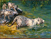 Panthera 0104 Donald  Grant The Swimming Lesson