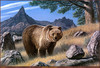 Panthera 0123 Paul Krapf Grizzly Country