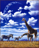 Panthera 0146 Schim Schimmel Three Mothers