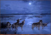 Panthera 0147 Daniel Smith Moon Song
