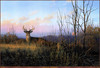 Panthera 0150 Don Kloetzke Harvest Moon