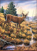 Panthera 0154 Michael Glenn Monroe Autumn Buck