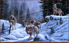 Panthera 0155 Ronnie Hedge The Final Call