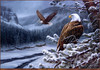 Panthera 0157 Rosemary Millette Spirit of the Wild Bald Eagles
