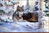 Panthera 0180 Mark Daehlin Heart and Soul
