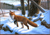 Panthera 0185 Ronald J. Louque Winter Memory