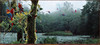 Panthera 0189 Rod Frederick Rainforest Rendezvous