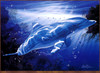 Panthera 0193 Christian Riese Lassen Dolphin Vision