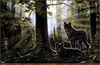 Panthera 0195 Andrew Kiss Blackwatch