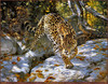 Panthera 0201 Donald Grant Let Us Survive