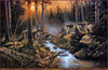 Panthera 0209 Derk Hansen Shadow of the Forest