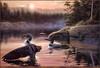Panthera 0211 Daniel Renn Pierce Evening Calm