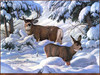 Panthera 0212 Paul Krapf Another Season