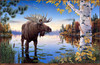 Panthera 0219 Mark Daehlin Autumn Majesty
