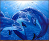 Panthera 0220 Belinda Leigh Dolphin Playground