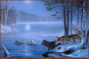 Panthera 0222 Ervin Molnar The Crossing