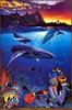 Panthera 0239 Christian Riese Lassen Hawaii Sea Passage