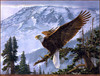 Panthera 0241 Lee Kromschroeder Alpenglow