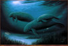 Panthera 0242 Robert Wyland Endangered Manatees
