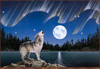 Panthera 0245 John Tutura Northern Lights