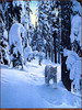 Panthera 0265 Ron S. Parker Silent Steps