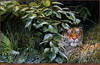 Panthera 0268 John Seerey-Lester The Rains