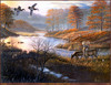 Panthera 0269 Arthur G. Anderson Duck Pond Woodies